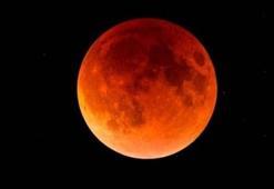 Güneş tutulması canlı izle 2021! Güneş tutulması nasıl izlenir? NASA canlı yayın ile güneş tutulmasını izleme imkanı veriyor!