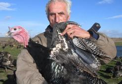 Yılbaşı hindisinin fiyatı belli oldu!