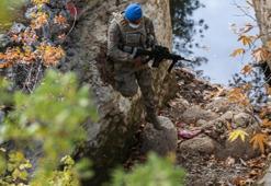 Komandolardan PKK'ya üst düzey darbe! Başlarına ödül konan 5 terörist öldürüldü