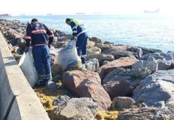 İstanbul'daki esrarengiz koku sırrını koruyor