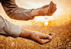 Tarım ve Orman Bakanlığı duyurdu! Bitkisel üretime destekleme ödemesi yapılmasına dair tebliğ Resmi Gazete’de!