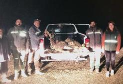 Dağ keçisi avına 126 bin TL ceza