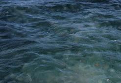 Marmara Denizi'nde büyük tehlike! Sakın dokunmayın