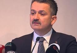 Destek kararı! Ödemeler aralık ayında yapılacak!