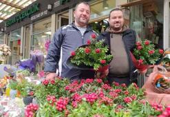 25 liraya ev sahibi olmak için çiçekçiye akın ediyorlar