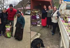 Köyündeki sokak kedileri için kampanya başlattı, 12 bin TL topladı