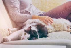 Yasak kararı! Kısa sürede devreye girecek, büyük tepki çekti