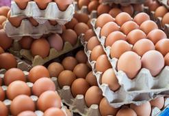 Yumurtaya zam! Fiyatı yüzde 66 arttı