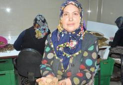İki çuval cevizle başladı! Ceviz patroniçesi oldu
