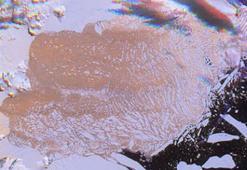 Dünyayı dehşete düşüren açıklama geldi bilim insanları şok oldu! Kıyamet günü artık kapıda...