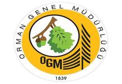 OGM personel alımı yapacak! Orman Genel Müdürlüğü orman mühendisi alımı şartları nelerdir, başvurular ne zaman başlıyor?