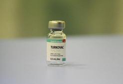 Turkovac aşısı ne zaman kullanılmaya başlanacak? Turkovac nerede üretiliyor?