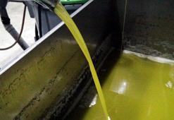 Zeytinyağında hileye dikkat