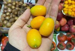 Paketi 15 TL'den satışa çıktı! C vitamini deposu, kış aylarının vazgeçilmezi...