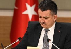 Bakan Pakdemirli: Veteriner hekimlerimizin pandemide üstlendiği rol hayati önemde