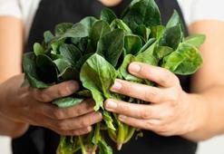 Kan ve kemik için şifa! İşte K vitamini açısından en zengin besinler