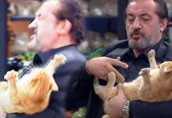 MasterChef'te Mehmet Yalçınkaya'nın kediyle imtihanı!