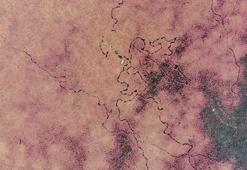 Samsun'da ortaya çıktı: Yeşil altın madeni... Görenler inanamıyor, dünya listesinde!