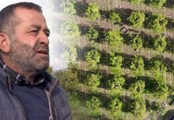 Fiyatı tarlada 2 lira, tezgahlarda 7 lira! Üreticiler aracılardan dertli