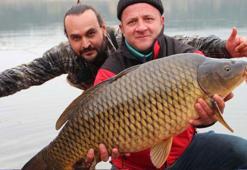 Dev sazan Bursa'da yakalanadı görenler şaştı kaldı!