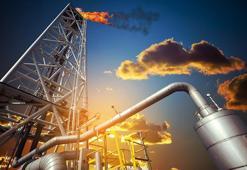 Doğal gaz müjdesi! Resmen duyuruldu, 3 ay içerisinde...