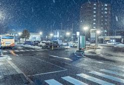 Japonya'da kar yağışı nedeniyle 220 uçuş ve 130 tren seferi iptal edildi