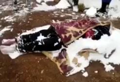 Afgan kadın soğuktan öldü, 2 çocuğu donmak üzereyken bulundu