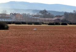 'Kızılırmak'taki renk değişiminin nedeni ortaya çıktı