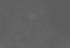 Koronavirüs ile ilgili son dakika gelişmesi! Dünyada şok etkisi yarattı, 46 mutasyona sahip varyant...