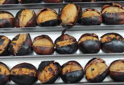 Kestane fiyatlarıyla ilgili flaş gelişme! Yüzde 25...