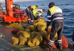 Bayrampaşa Hali’nde 5 ton kaçak midye ele geçirildi: Canlı midyeler denize bırakıldı