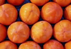 Yeni iş kapısı oldu! Tezgahlar doldu taştı! Kapış kapış gidiyor! Koronavirüse çare