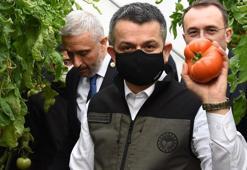 Bakan Pakdemirli: Seralarda üretim arttığında fiyatlardaki dalgalanma azalacak