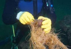 5 dönüm hayalet ağ topladılar