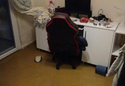 Bodrum’da sel faciası, evleri su bastı, sokak hayvanları boğuldu!