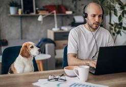 Freelance çalışanlar küresel işgücünün yüzde 35’ine sahip