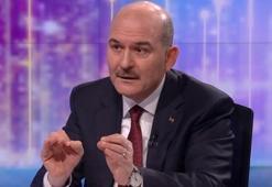 Bakan Soylu'dan HDP'li Güzel'in teröristle fotoğrafına açıklama: Görmezden gelemeyiz