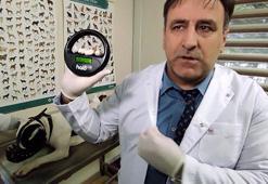 Tehlike arz eden 6 köpek ırkının kayıt alınmasında süre bitiyor! 15 bin lira para cezası var