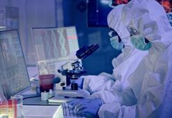 Koronavirüs ile ilgili güzel haber! Pandemi bitiyor, endemi başlıyor! Sonuna geldi