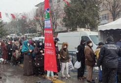 Hamsi Festivali! Metrelerce kuyruk oluştu, 3 ton hamsi dağıtıldı