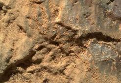 Mars'taki tarihi keşifi NASA resmen açıkladı! 'Mor kayaçlar' hikayenin önemli bir parçası olabilir...