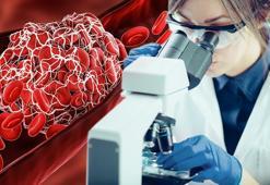 Bilim insanları uzun yaşamın sırrını duyurdu! 'Seviyesi düşürüldüğünde ömür uzuyor'