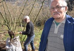 Fiyatı ikiye katlandı, talep patladı! 'Bahçeyi kışın sıcak, yazın ferah tutuyor'