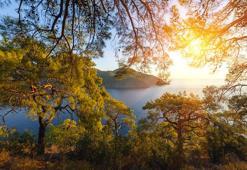 Fiyatlar yüzde 300 arttı! Alan kazandı, 8 bin lira...