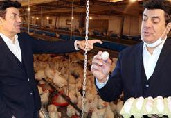 Yumurta çiftliği kuran Coşkun Sabah’ı dolandırdılar!