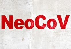 NeoCov varyantı nedir? NeoCov varyantı belirtileri neler?