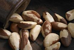 Brezilya cevizi faydaları nelerdir? Brezilya cevizi nerelerde, ne için kullanılır?