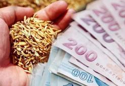 Cumhurbaşkanı Erdoğan müjdeyi vermişti! Bakan Pakdemirli detayları açıkladı!