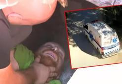 Survivor'da korku dolu anlar, hastaneye kaldırıldı! Parkurda kafa üstü düştü!