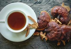 Reishi mantarı nedir, nasıl tüketilir? Reishi mantarı faydaları nelerdir?